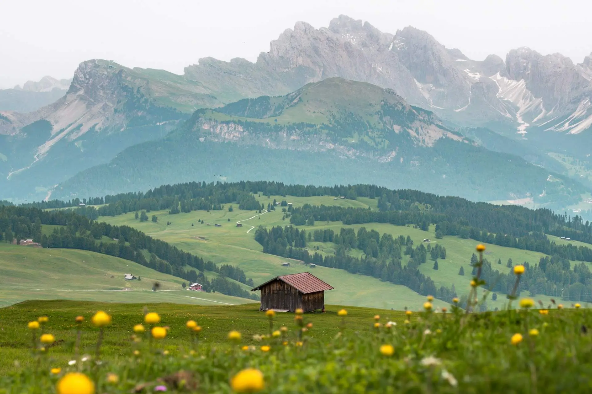 A wooden hay barn in the meadows of the Alpe di Siusi