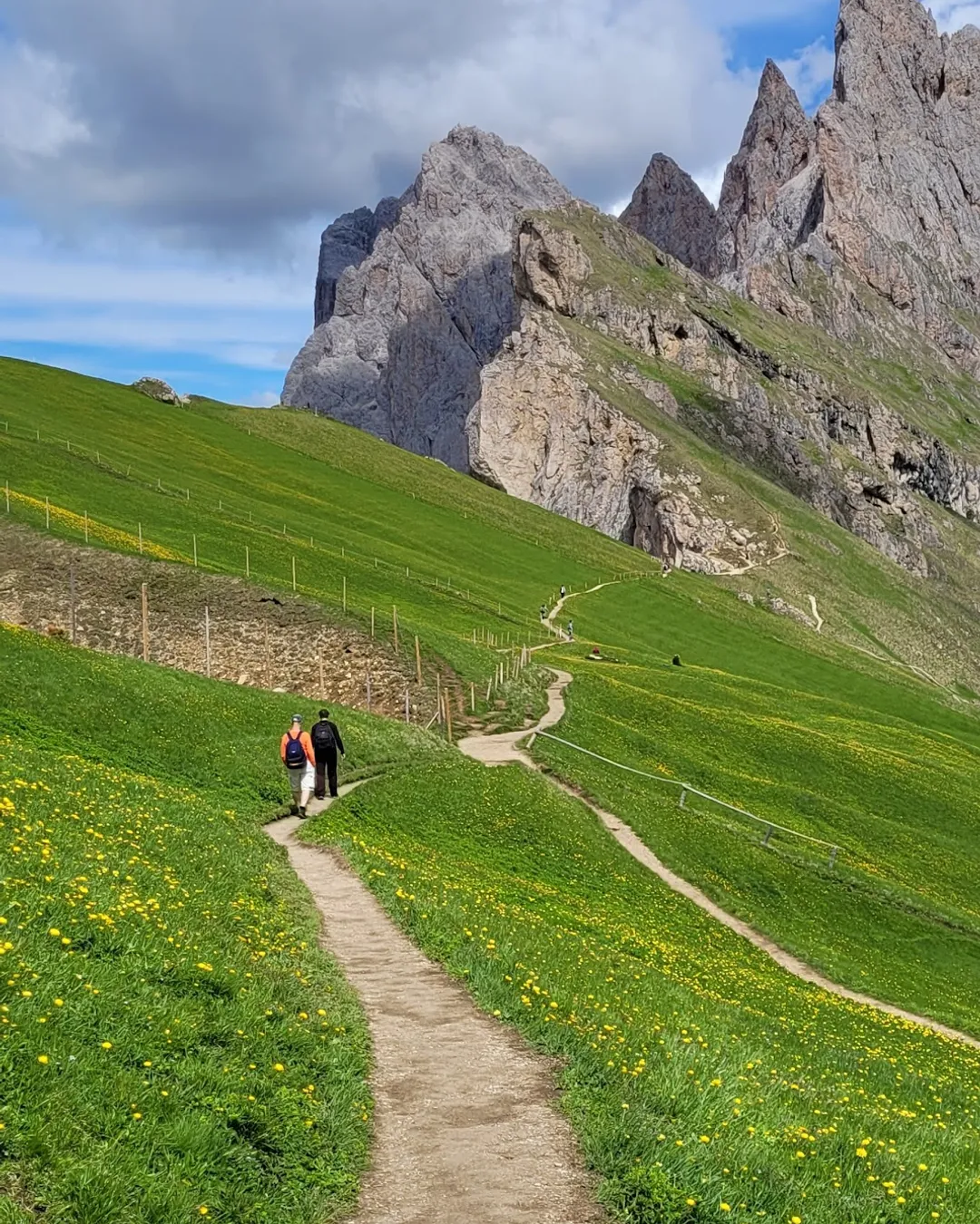 Walkers on the meadow path climbing toward the Odle peaks above Seceda